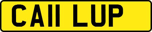 CA11LUP