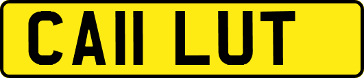 CA11LUT