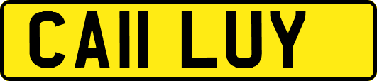 CA11LUY