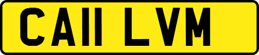 CA11LVM