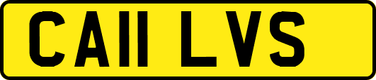 CA11LVS