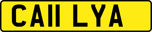 CA11LYA