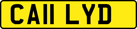 CA11LYD