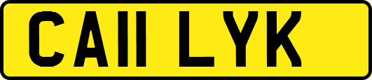 CA11LYK
