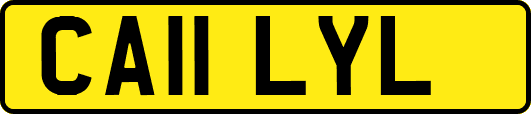 CA11LYL