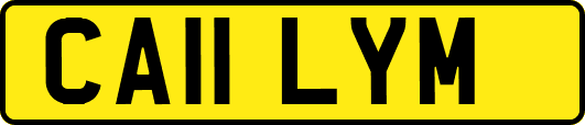 CA11LYM