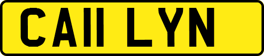 CA11LYN