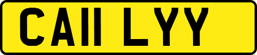CA11LYY