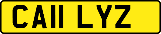 CA11LYZ