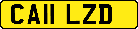 CA11LZD