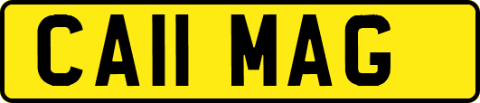 CA11MAG