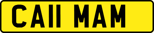 CA11MAM