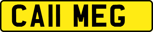 CA11MEG