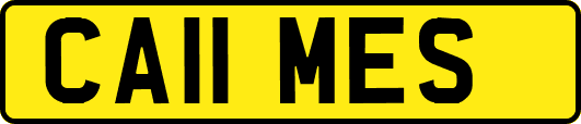 CA11MES