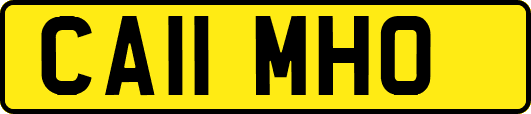 CA11MHO