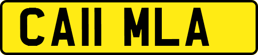 CA11MLA