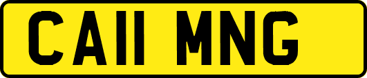 CA11MNG