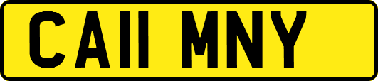 CA11MNY