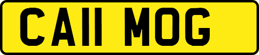 CA11MOG