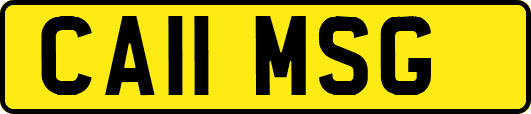 CA11MSG