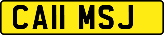 CA11MSJ