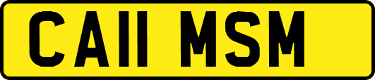 CA11MSM