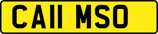 CA11MSO