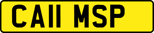 CA11MSP