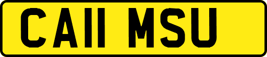 CA11MSU