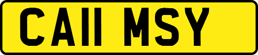 CA11MSY