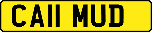 CA11MUD