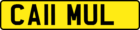 CA11MUL