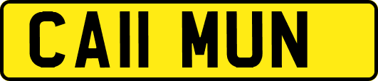 CA11MUN