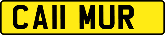 CA11MUR