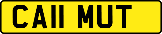 CA11MUT