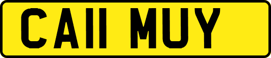 CA11MUY