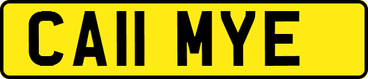CA11MYE