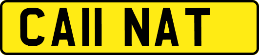 CA11NAT