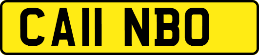 CA11NBO
