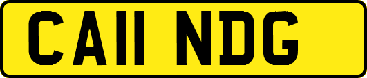 CA11NDG