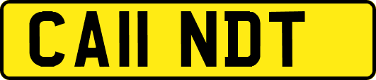 CA11NDT