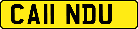 CA11NDU