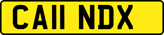 CA11NDX