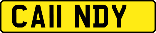 CA11NDY