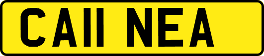 CA11NEA