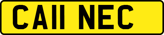 CA11NEC