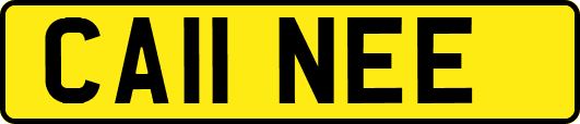 CA11NEE