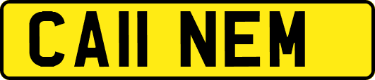 CA11NEM