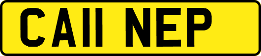 CA11NEP