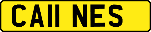 CA11NES